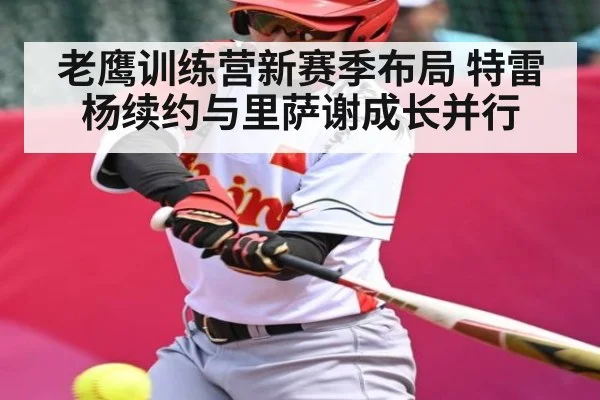 老鹰训练营新赛季布局 特雷杨续约与里萨谢成长并行